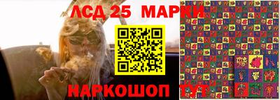 эйфоретик Баксан