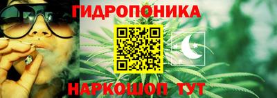 эйфоретик Баксан