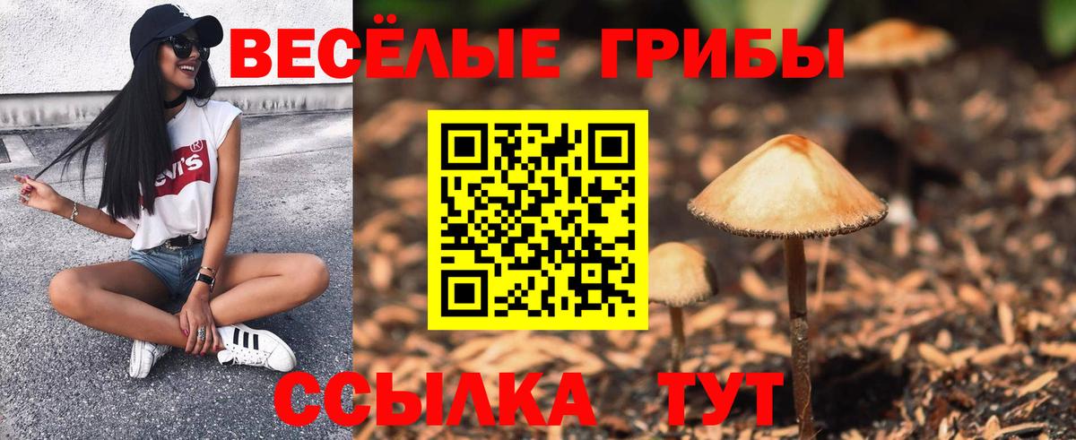 Псилоцибиновые грибы Magic Shrooms  Вход с VPN  Гулькевичи  Галлюциногенные грибы Psilocybe 