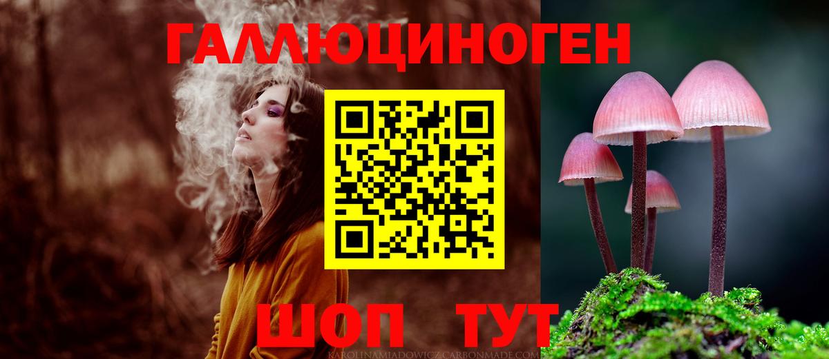 Галлюциногенные грибы MAGIC MUSHROOMS Гулькевичи